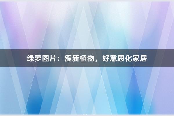 绿萝图片：簇新植物，好意思化家居