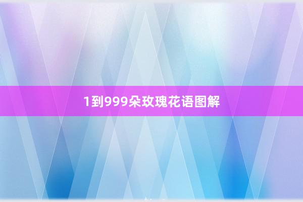 1到999朵玫瑰花语图解